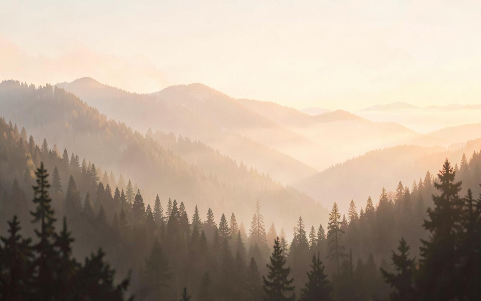 Soft sunrise over forested mountains